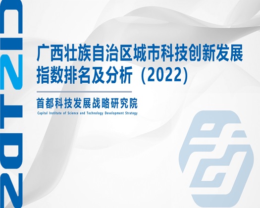 逼逼好痒打鸡巴插进来视频【成果发布】广西壮族自治区城市科技创新发展指数排名及分析（2022）